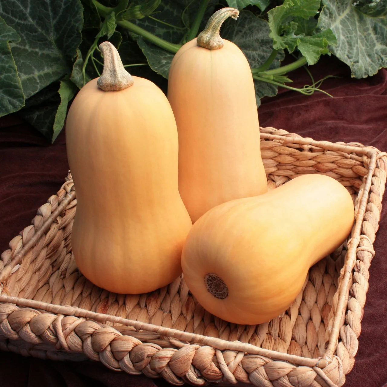 Organic Butternut Whole 1kg