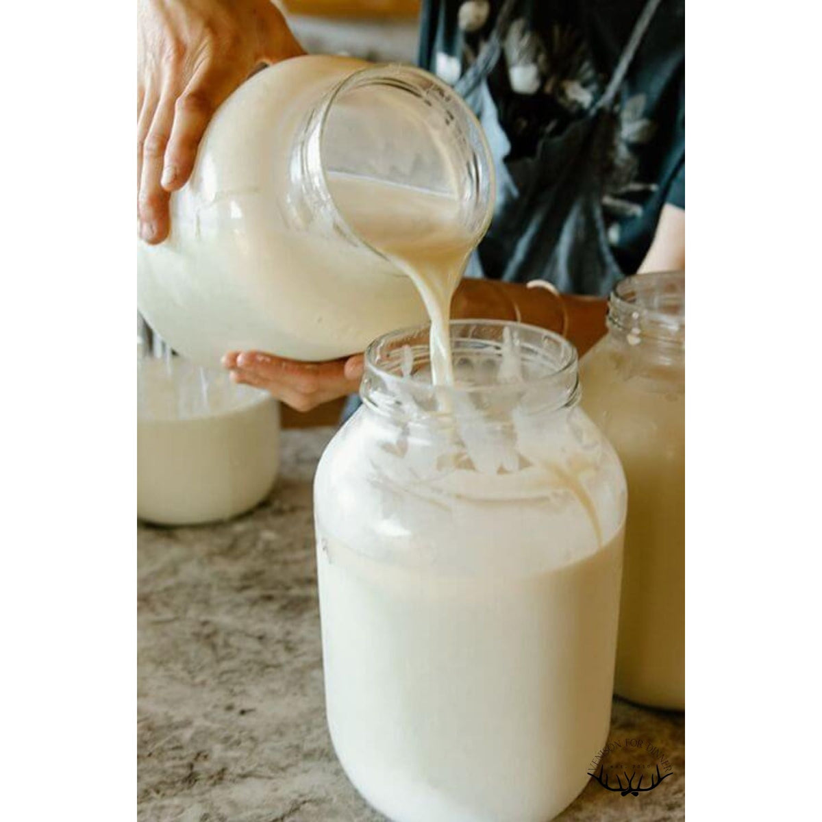 Full Cream Farm Fresh Milk