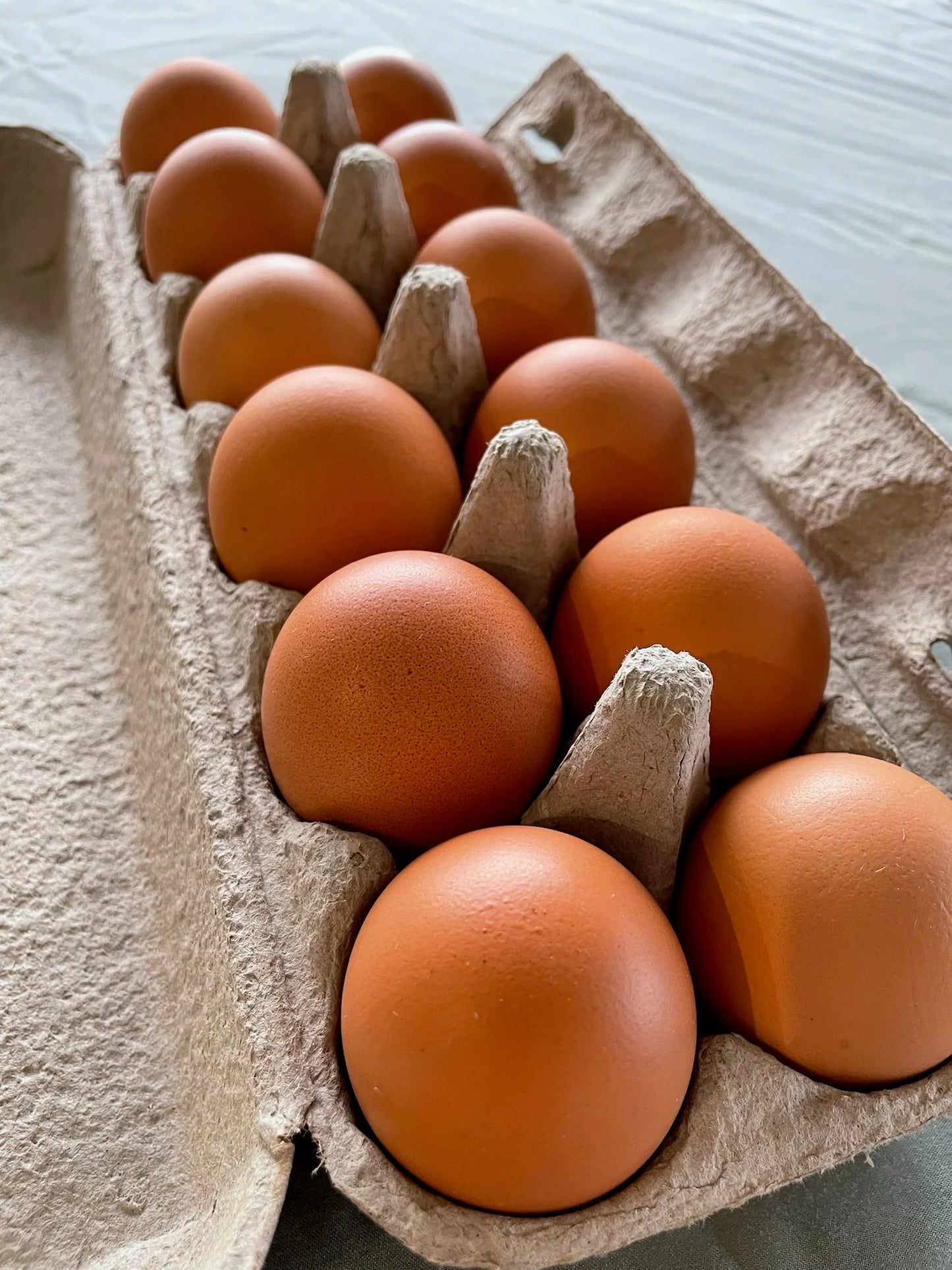 12 Eggs Extra Large