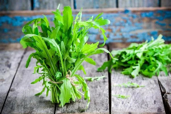 Organic Rocket 30g
