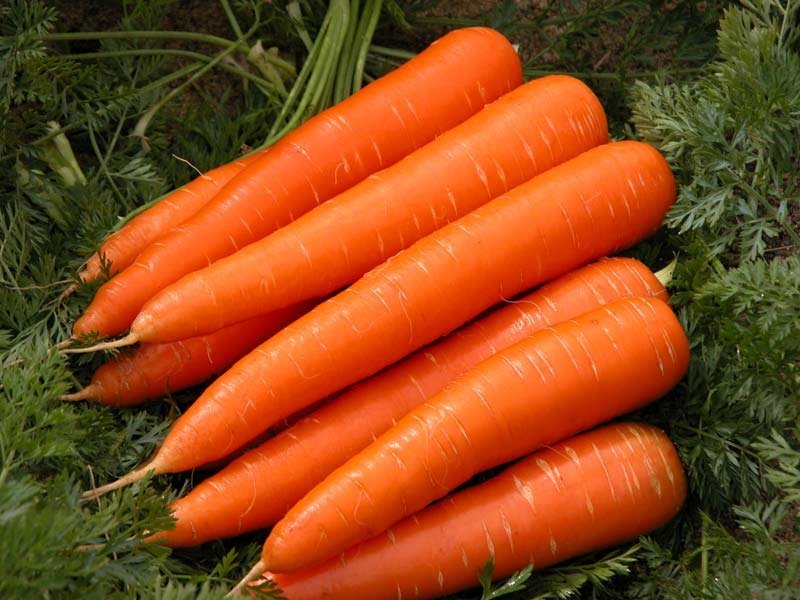 Organic Carrots Whole 1kg