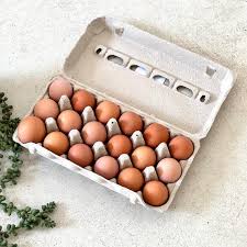 18 Eggs Extra Large