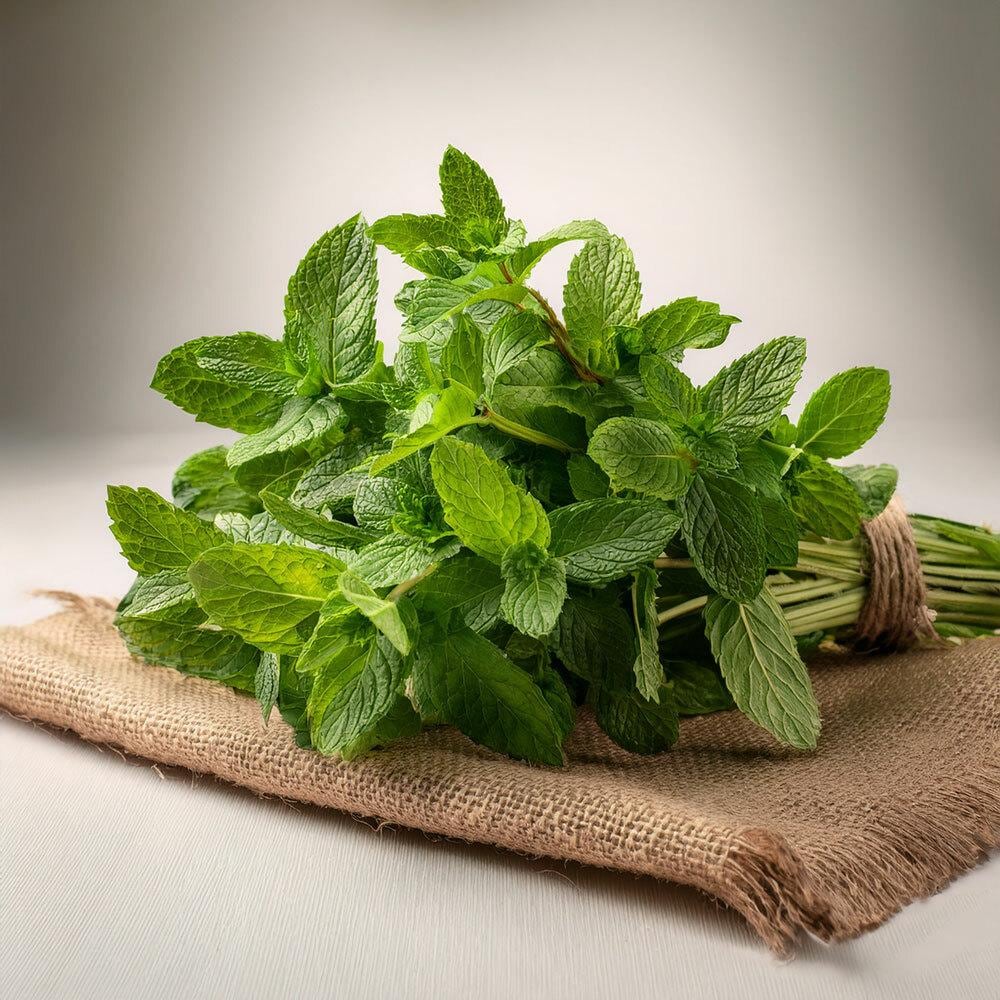 Organic Mint 30g