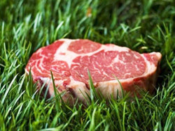 Grass-Fed Meat vs Regular Meat in South Africa
