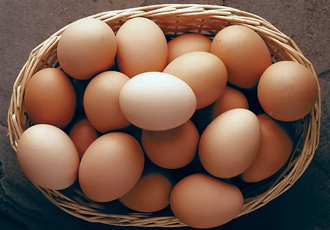 Fresh Free Range Eggs
