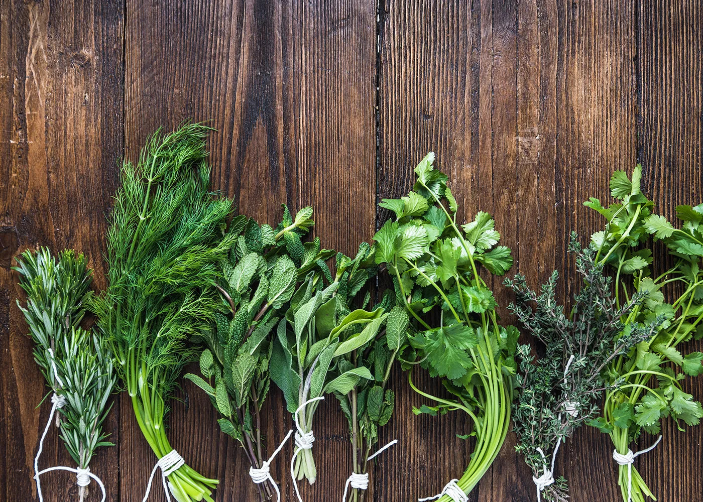 Fresh & Dried Organic Herbs