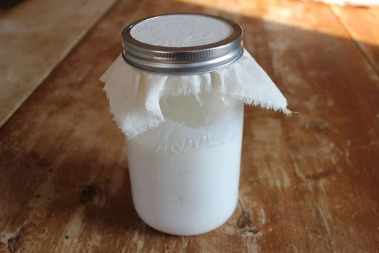 Goat Milk Kefir 500ml