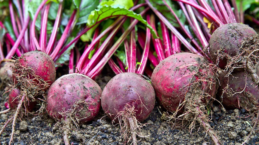 Organic Beetroot Whole 1kg