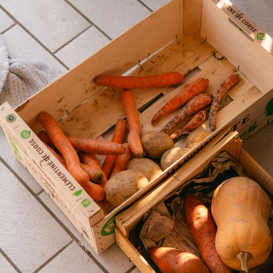 Budget Friendly Organic Veg Box