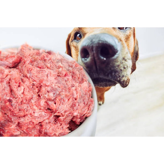 Chicken Pet Mince 500g