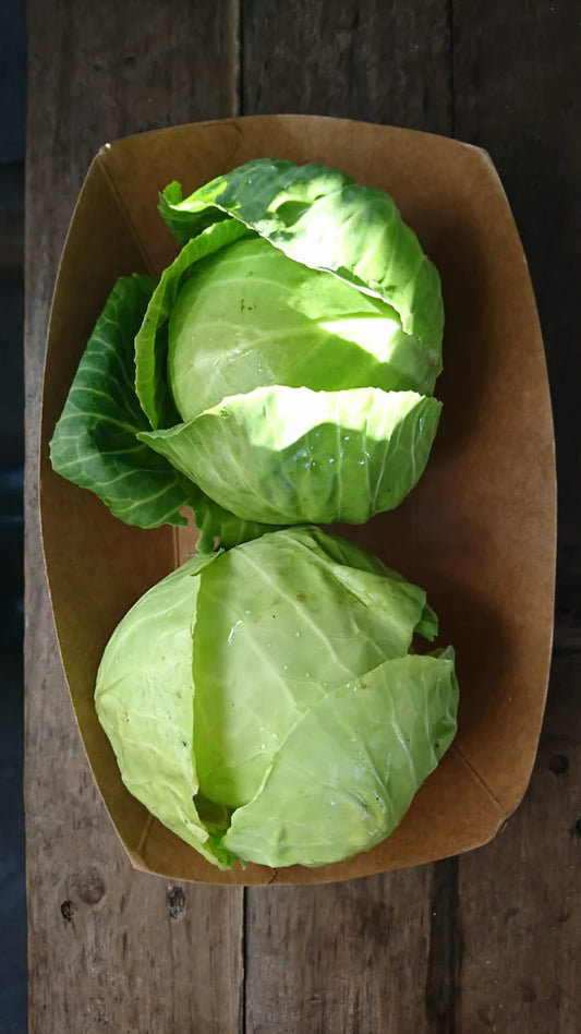 Organic Baby Cabbage Green 2 Pack