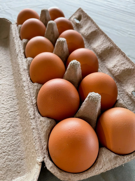 12 Eggs Extra Large