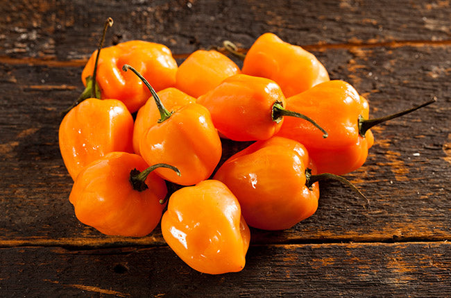 Organic Habanero Punnet 250g