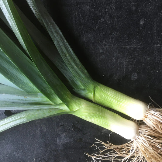 Organic Leeks Bunch 400g