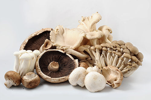 Organic Exotic Mushroom 200g