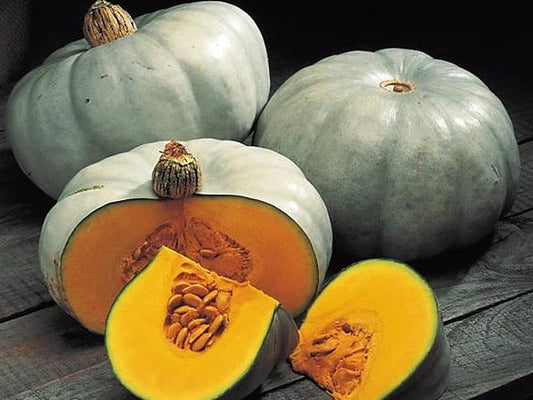 Organic Pumpkin Whole