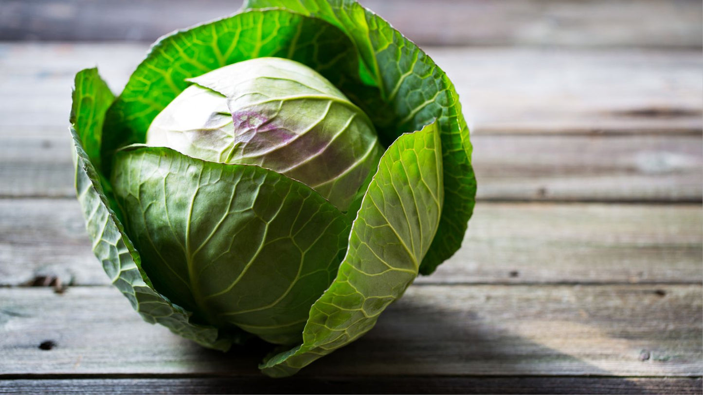 Organic Cabbage Head Green