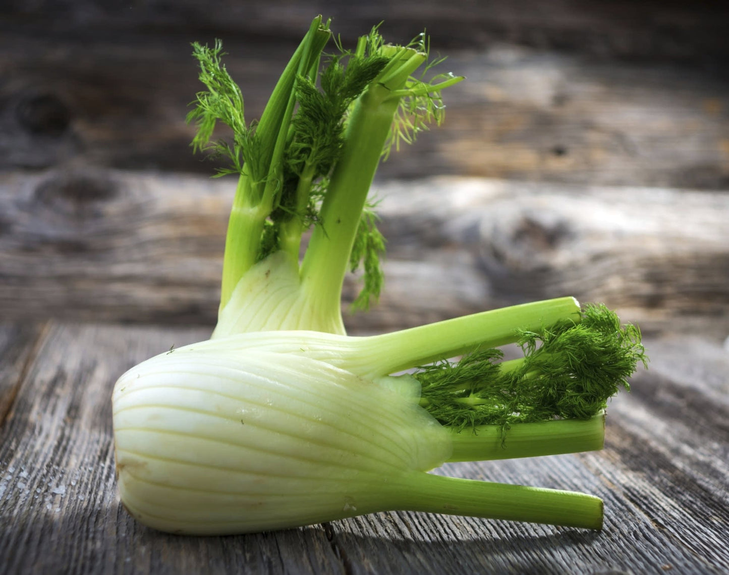 Organic Fennel Bulbs 500g