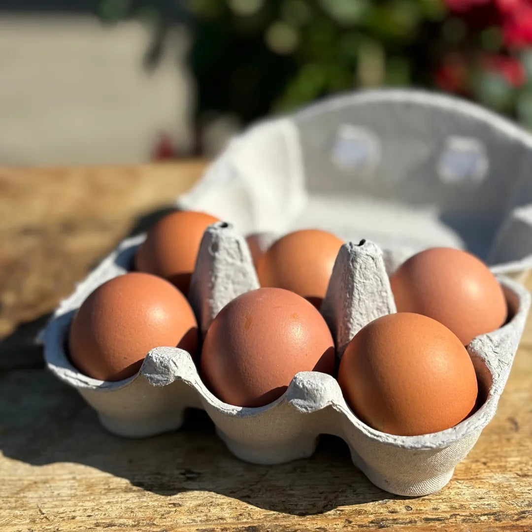 6 Eggs Extra Large