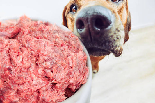 Chicken Pet Mince 500g
