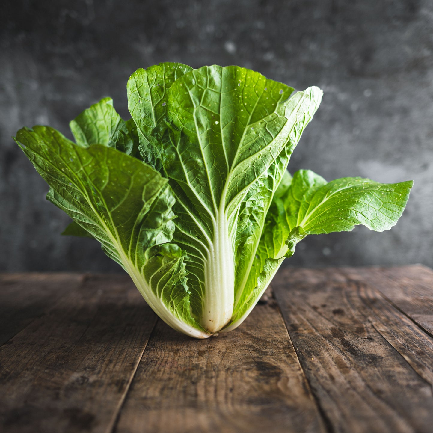 Organic Chinese Cabbage Head Big