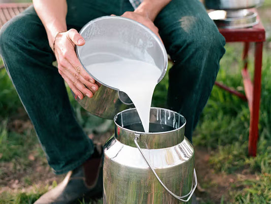 Raw Farm Fresh Milk