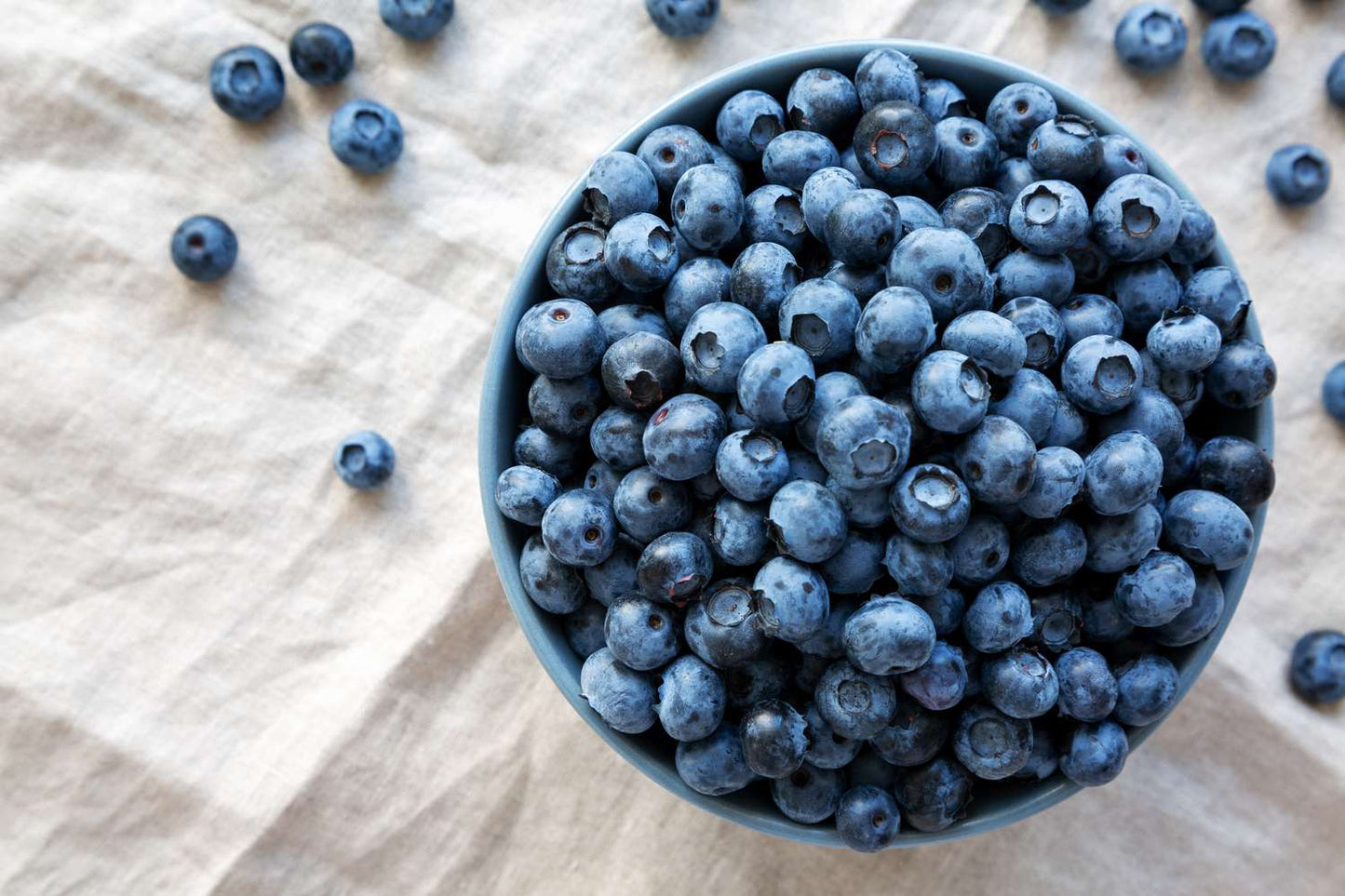 Organic BlueBerries 2 Pack 250g