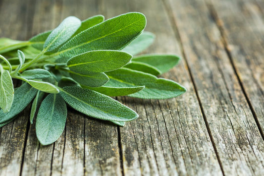 Organic Sage 30g