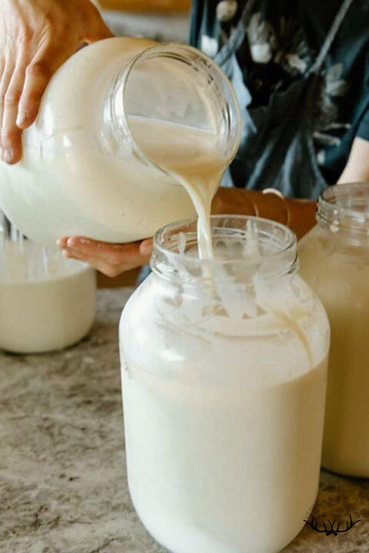 Full Cream Farm Fresh Milk